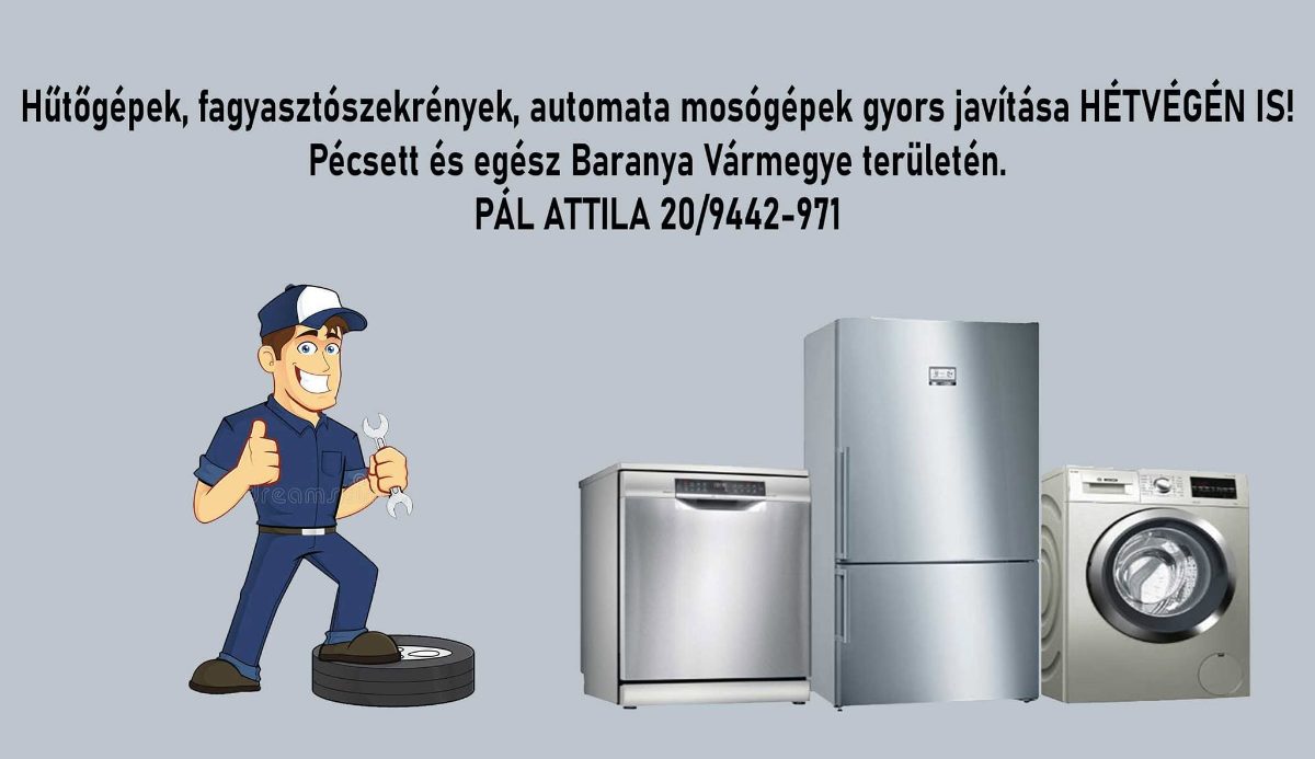 Pál Attila-hűtőgép, mosogatógép szerelő – Mosogatógép szerelő