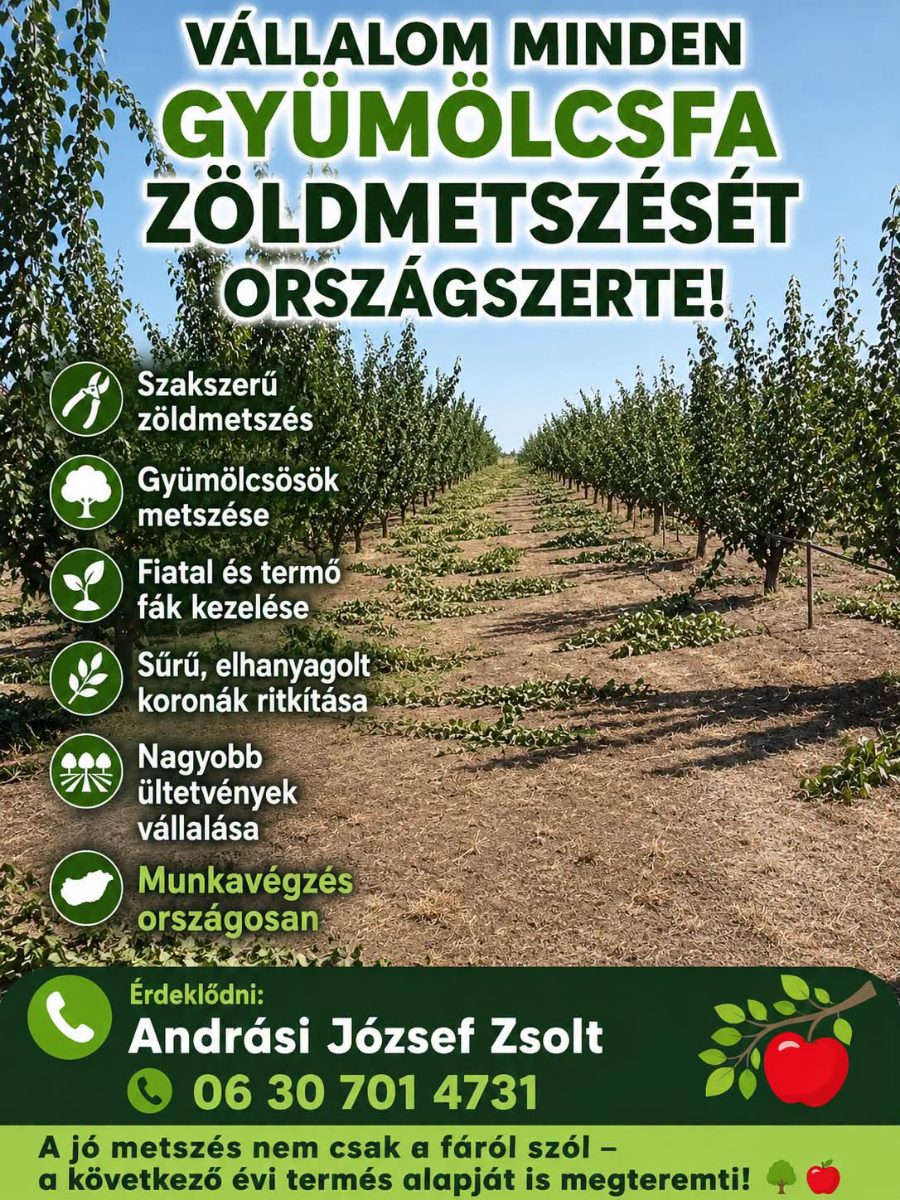 Andrási Zsolt József, gyümölcsfa gondozás – Metszés