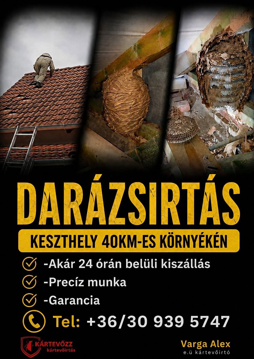 Varga Alex darázsirtás – Darázsírtás