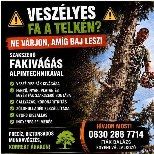 Fiák Balázs  fakivágás, kertfenntartás – Fűnyírás / Kertgondozás