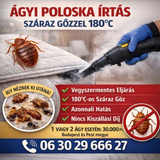 Ulovich Árpád poloskairtás – Kártevőirtás